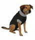 VETLANDO Body Post Operatorio - Bones Companyies