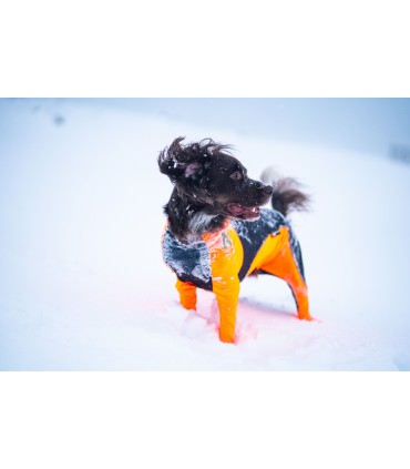 NON-STOP Protector Snow Female