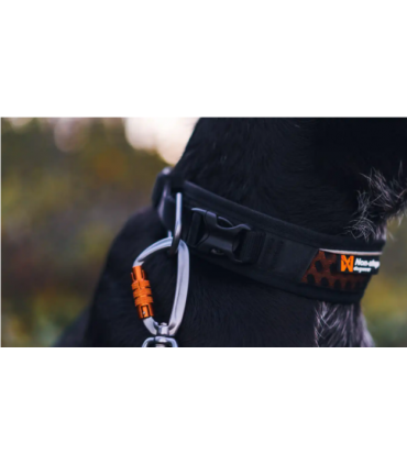 NON-STOP Rock Collar