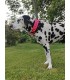 TAMER Collar Softy