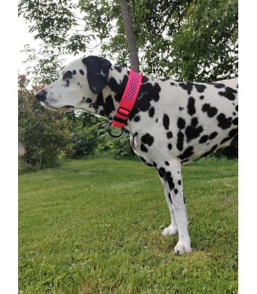 TAMER Collar Softy