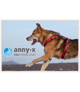 ANNY.X Arnés Fun