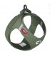 Curli CLASP www.bonescompanyies.com