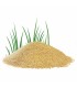 Soft Cat CORN arena aglomerante biodegradable