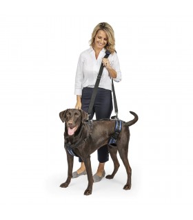 PETSAFE CareLift Arnés de ayuda