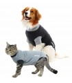 VETLANDO Body Post Operatorio