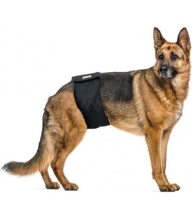 VETLANDO Pañal reutilizable para perro