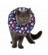 COLLAR ISABELINO SOFT FREECAT para gato