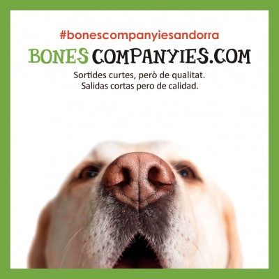 Confinamiento: Paseos cortos pero de calidad