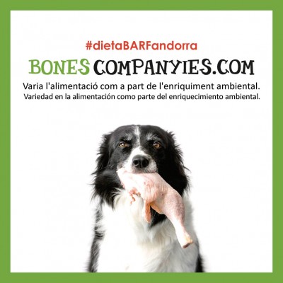 Varía la alimentación de tu perro