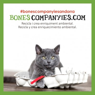 Reciclaje y enriquecimiento ambiental para gatos