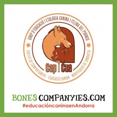 Consultas de educación canina y felina en Andorra